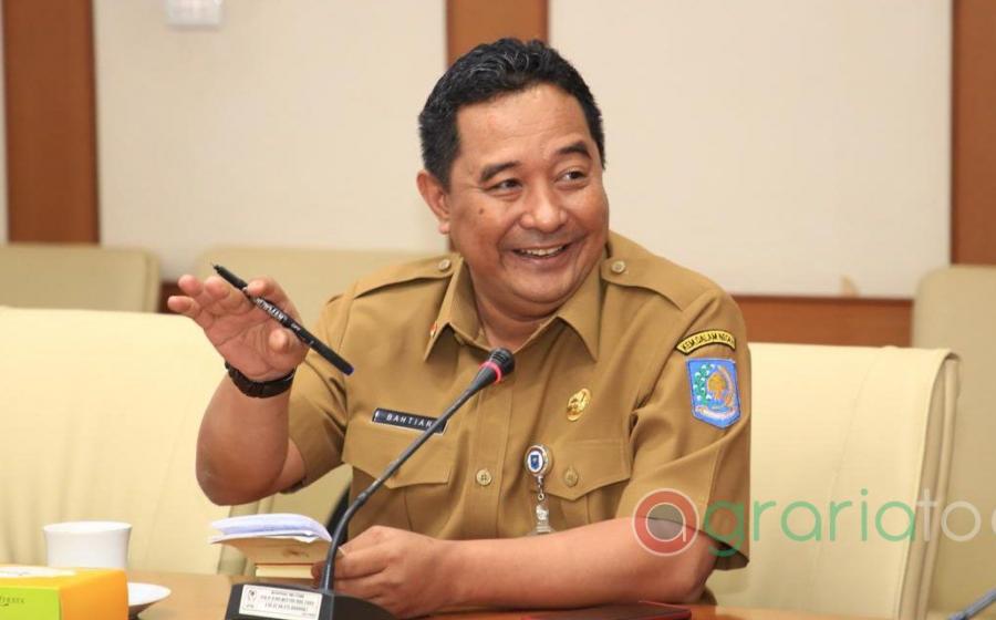 Pemerintahan 
