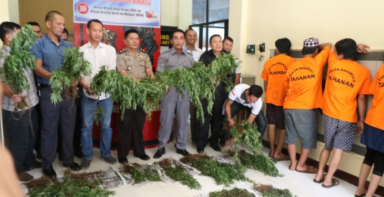 Polda Bengkulu mengungkap 1 hektar ladang Ganja di Rejang Lebong