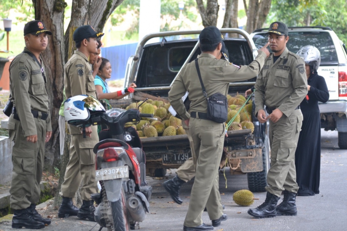 Satpol PP Kota Bengkulu Tertibkan 4 Titik Pedagang Durian