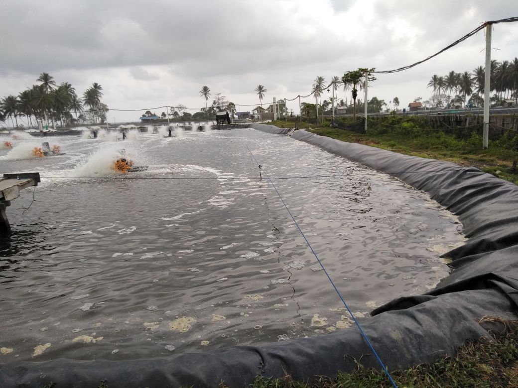 Kabupaten