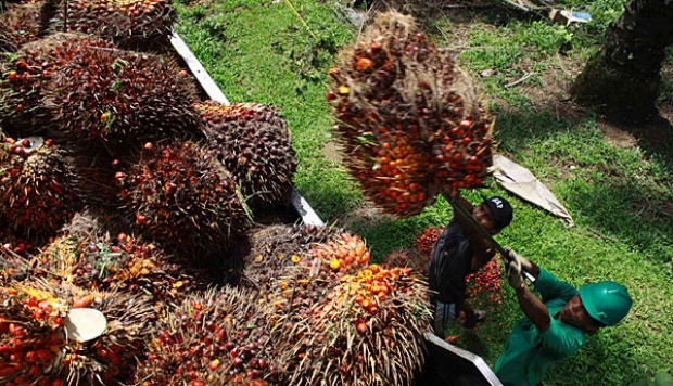 Kota Bengkulu