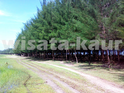 Wisata