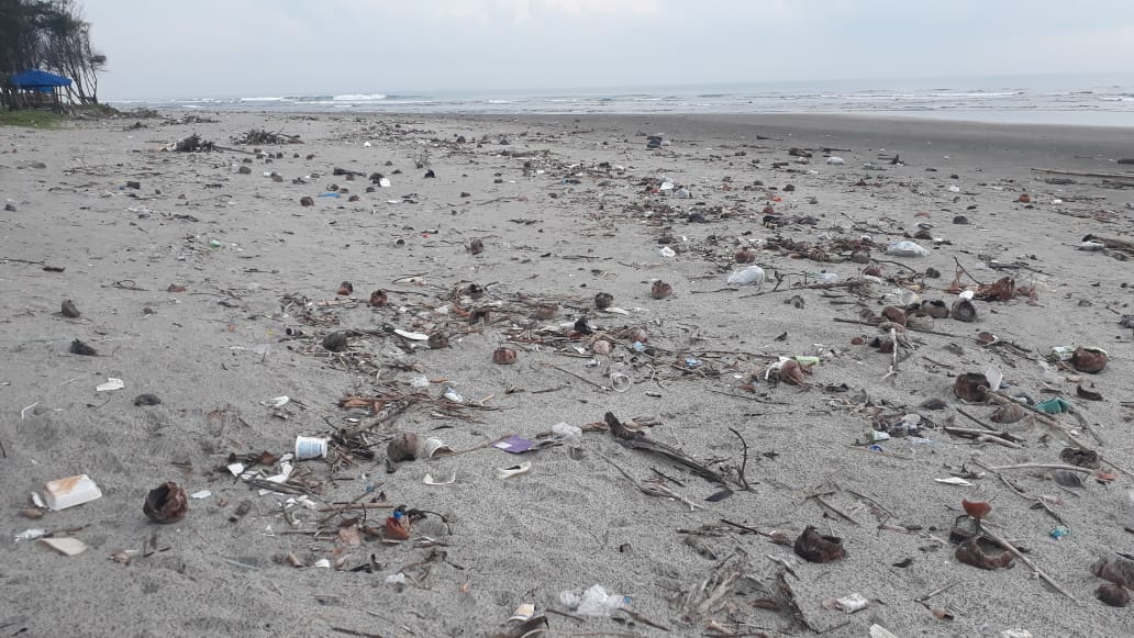 wisata pantai panjang dipenuhi sampah