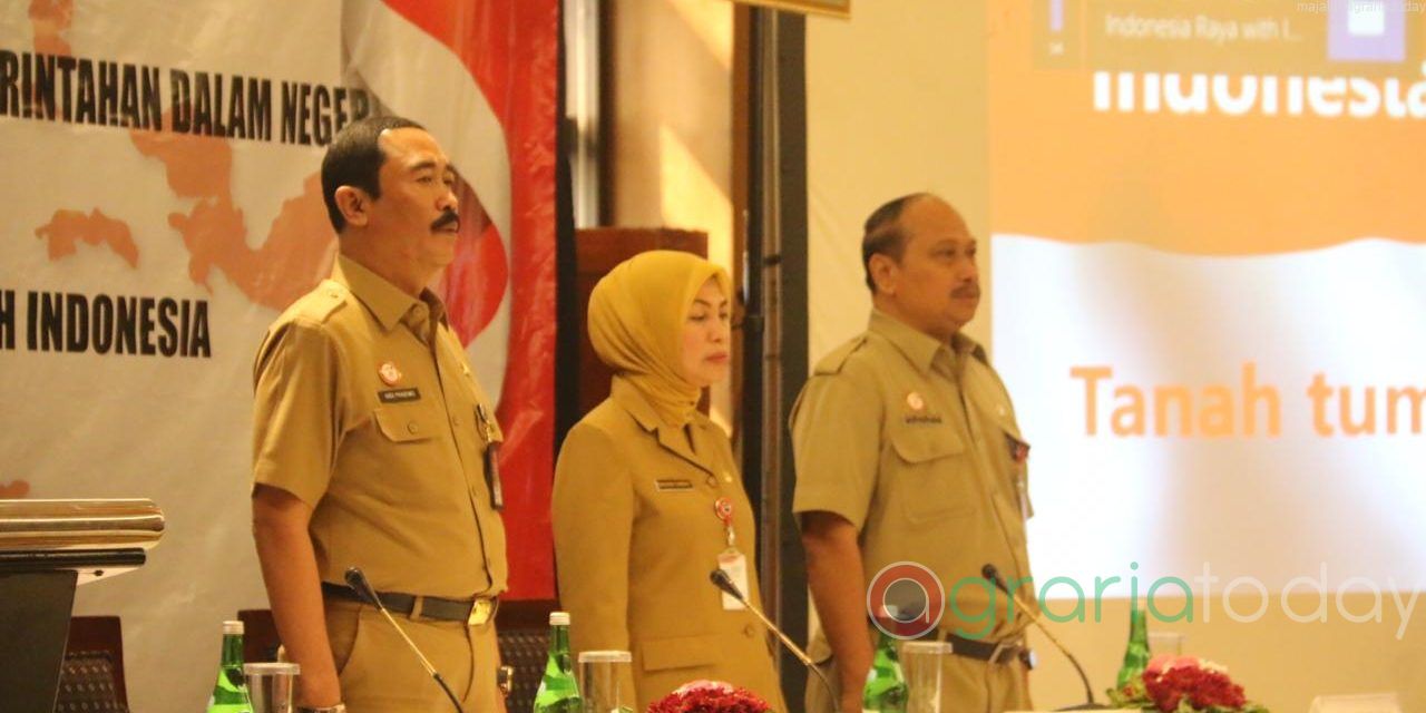 Pemerintahan 