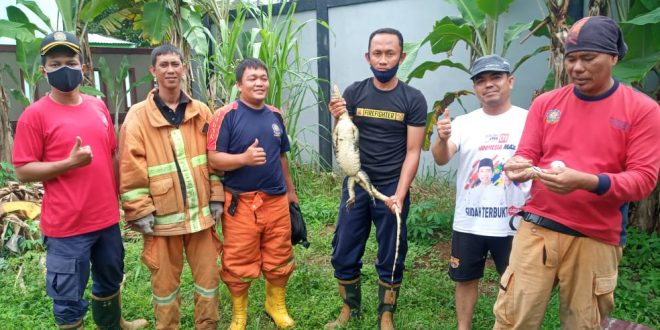 Kota Bengkulu