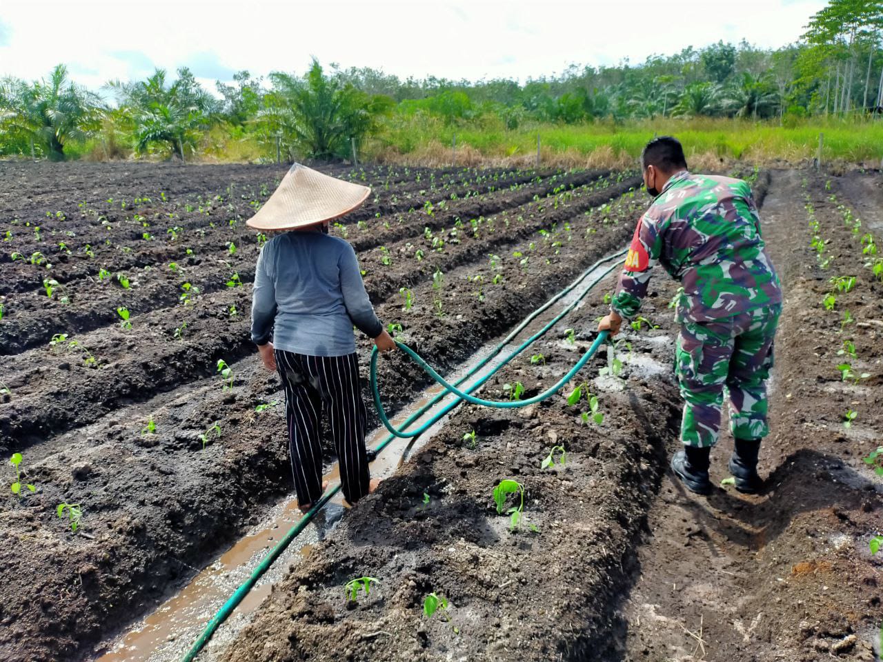 TNI