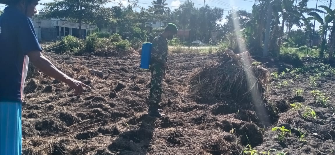 tni