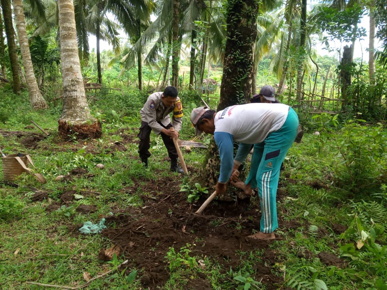 Bhabinkamtibmas Polsek Kaur Selatan Sambang DDS di Desa Binaan