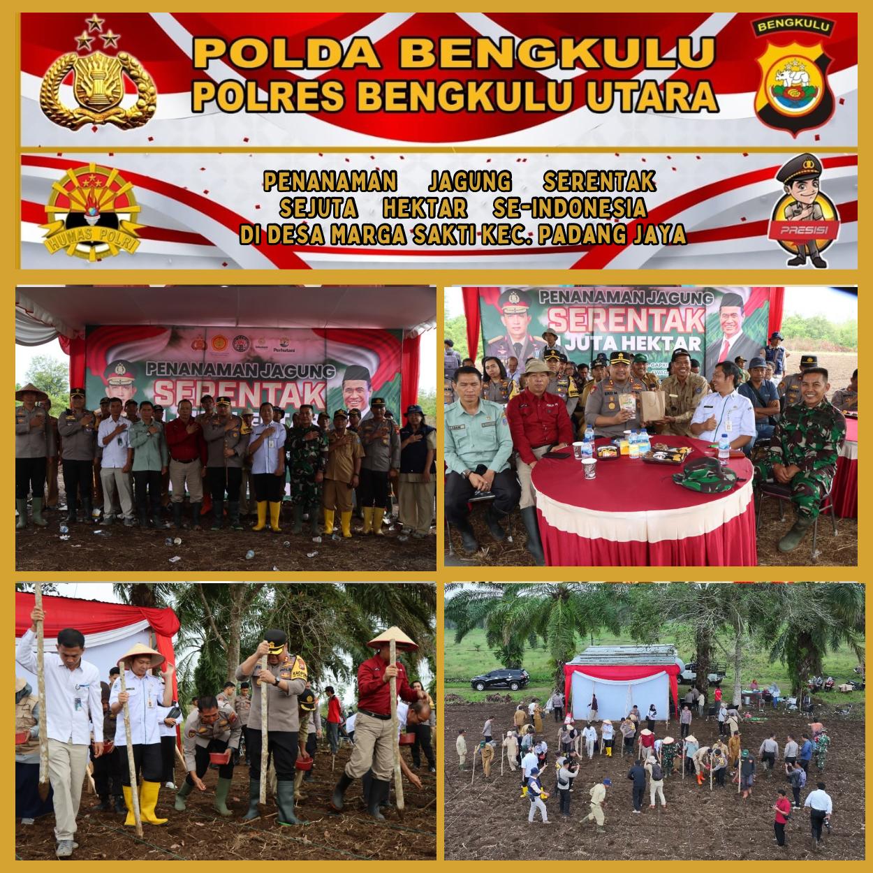 Polres Bengkulu Utara Gelar Zoom Meeting Penanaman Jagung Serentak, Dukung Program Ketahanan Pangan Nasional