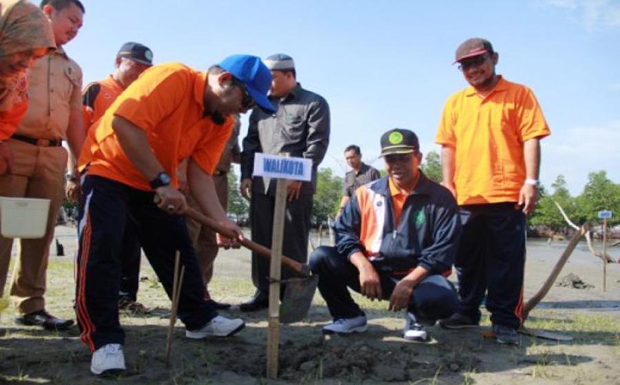 Walikota Bengkulu H. Helmi Hasan saat penanaman mangrove kerjasama CSR Pertamina dan Universitas Muhammadiyah Bengkulu (UMB)