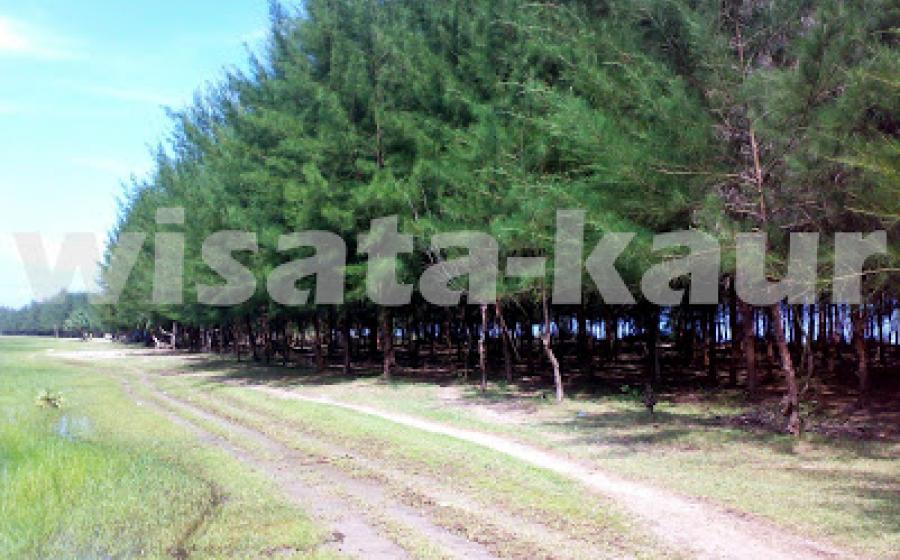 Wisata