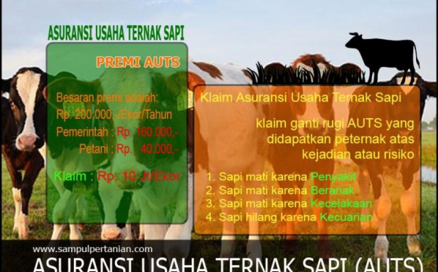 Daerah