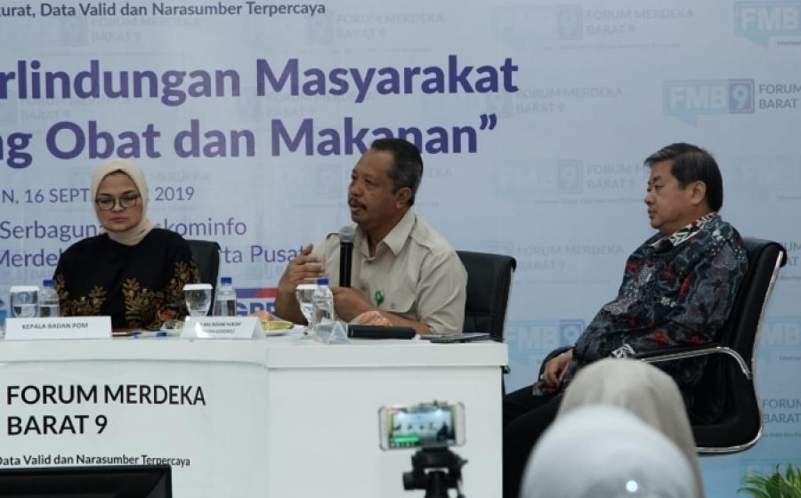 pemerintahan