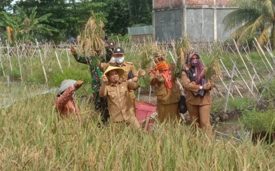 Pemkot Bengkulu