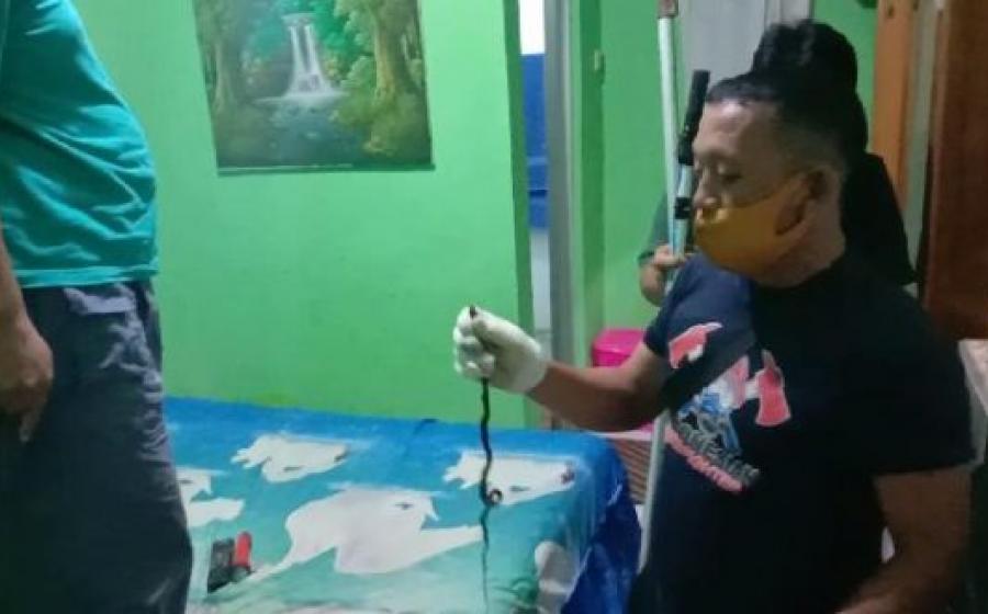 Pemkot Bengkulu