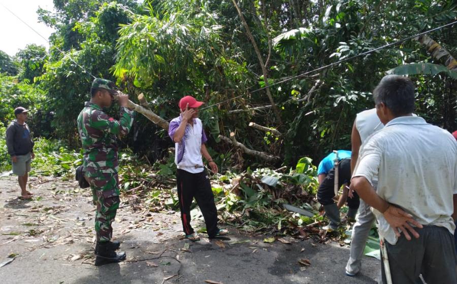 TNI