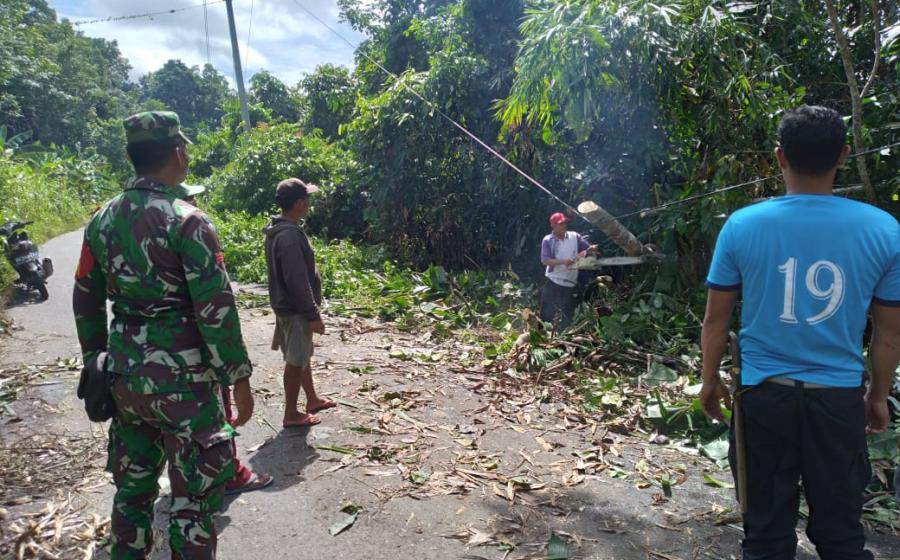 TNI