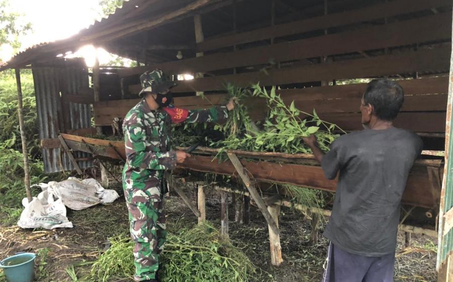 TNI