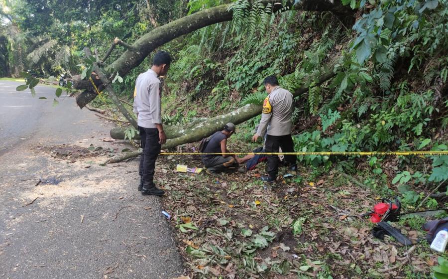 Gotong Royong Personel Polsek Air Besi Bersama Warga Membersihkan Pohon Tumbang 