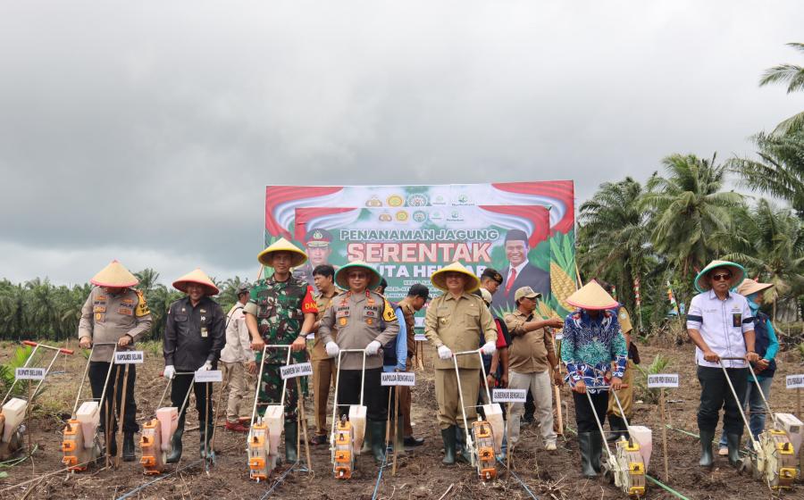 Dukung Ketahanan Pangan Nasional, Polda Bengkulu Tanam Jagung Serentak 1 Juta Hektare