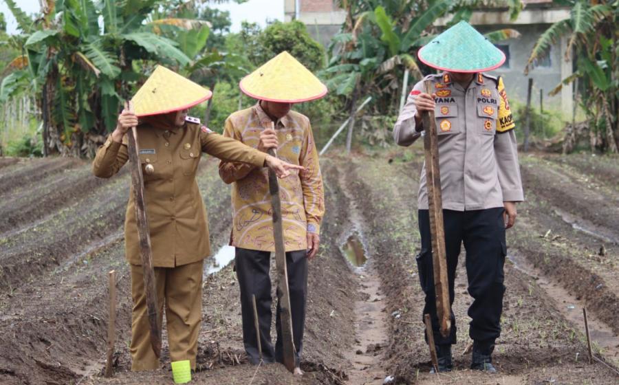 Dukung Ketahanan Pangan, Polres Mukomuko Siapkan 212 Hektare Lahan untuk Ditanami Jagung