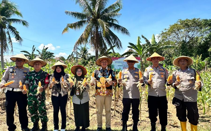 PANEN RAYA JAGUNG SERENTAK KUARTAL II DIGELAR DI WILAYAH HUKUM POLSEK TELUK SEGARA KOTA BENGKULU