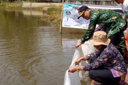  Plt Gubernur Kunjungi Lokasi Stand dan Display di Bengkulu Selatan