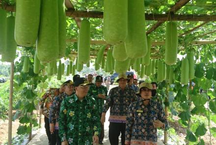  Plt Gubernur Kunjungi Lokasi Stand dan Display di Bengkulu Selatan