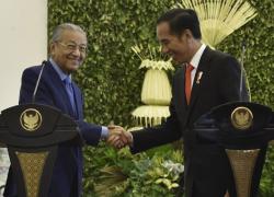 Kampanye Negatif Kelapa Sawit