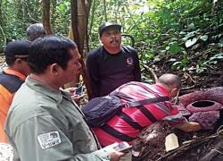 Bunga Rafflesia
