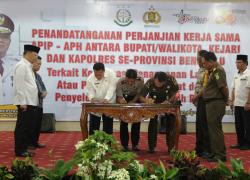 APIP – APH Kabupaten-Kota Bersinergi