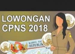 Lowongan CPNS 2018